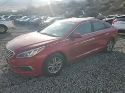 5NPE24AF7HH530099 2017 HYUNDAI SONATA