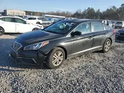 5NPE24AF7HH530894 2017 HYUNDAI SONATA