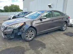5NPE24AF7HH533326 2017 HYUNDAI SONATA