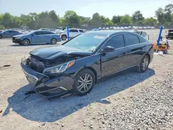 5NPE24AF7HH539353 2017 HYUNDAI SONATA