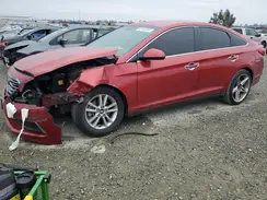 5NPE24AF7HH541717 2017 HYUNDAI SONATA
