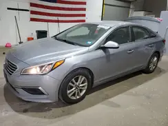5NPE24AF7HH544827 2017 HYUNDAI SONATA