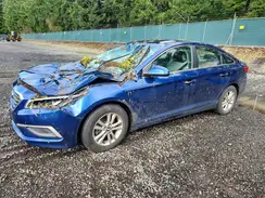 5NPE24AF7HH545556 2017 HYUNDAI SONATA