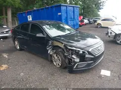 5NPE24AF7HH553642 2017 HYUNDAI SONATA