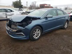 5NPE24AF7HH557903 2017 HYUNDAI SONATA