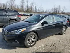 5NPE24AF7HH560591 2017 HYUNDAI SONATA