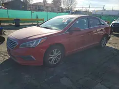 5NPE24AF7HH561515 2017 HYUNDAI SONATA