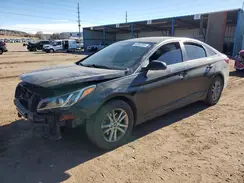 5NPE24AF7HH562227 2017 HYUNDAI SONATA
