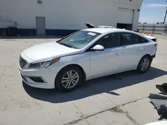 5NPE24AF7HH562809 2017 HYUNDAI SONATA
