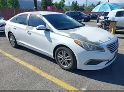 5NPE24AF7HH562986 2017 HYUNDAI SONATA
