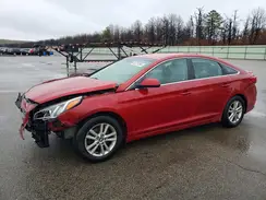 5NPE24AF7HH563250 2017 HYUNDAI SONATA