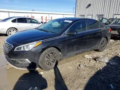 5NPE24AF7HH565421 2017 HYUNDAI SONATA