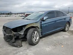 5NPE24AF7HH569095 2017 HYUNDAI SONATA
