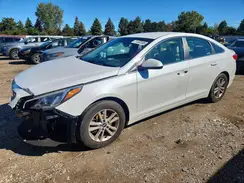 5NPE24AF7HH572515 2017 HYUNDAI SONATA