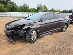 5NPE24AF7HH585913 2017 HYUNDAI SONATA