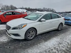 5NPE24AF7HH586284 2017 HYUNDAI SONATA