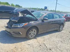 5NPE24AF7HH591579 2017 HYUNDAI SONATA