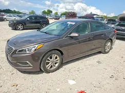 5NPE24AF7HH593588 2017 HYUNDAI SONATA