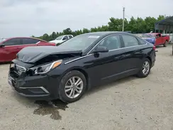 5NPE24AF7HH594143 2017 HYUNDAI SONATA