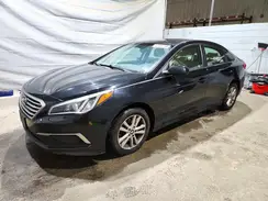 5NPE24AF7HH595406 2017 HYUNDAI SONATA