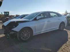 5NPE24AF7JH599770 2018 HYUNDAI SONATA