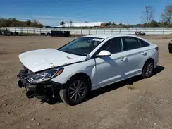 5NPE24AF7JH675262 2018 HYUNDAI SONATA