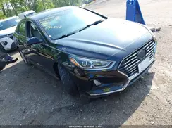 5NPE24AF7JH694359 2018 HYUNDAI SONATA