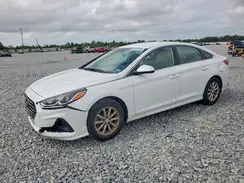5NPE24AF7KH732481 2019 HYUNDAI SONATA
