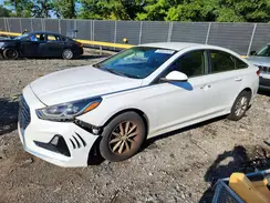 5NPE24AF7KH732660 2019 HYUNDAI SONATA