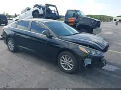 5NPE24AF7KH735865 2019 HYUNDAI SONATA