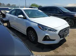 5NPE24AF7KH736238 2019 HYUNDAI SONATA