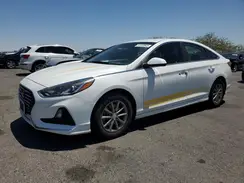 5NPE24AF7KH736398 2019 HYUNDAI SONATA