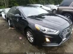 5NPE24AF7KH740886 2019 HYUNDAI SONATA