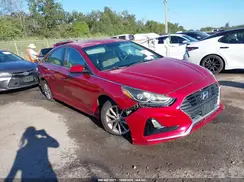 5NPE24AF7KH742542 2019 HYUNDAI SONATA