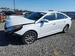 5NPE24AF7KH745084 2019 HYUNDAI SONATA