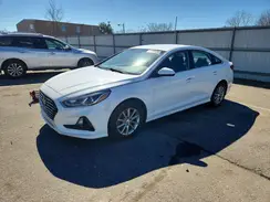 5NPE24AF7KH745828 2019 HYUNDAI SONATA