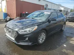 5NPE24AF7KH749930 2019 HYUNDAI SONATA