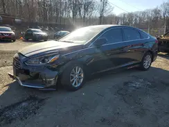 5NPE24AF7KH751838 2019 HYUNDAI SONATA