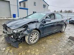 5NPE24AF7KH753606 2019 HYUNDAI SONATA
