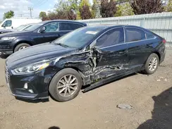 5NPE24AF7KH753878 2019 HYUNDAI SONATA