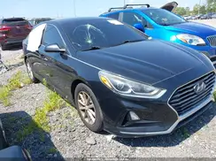 5NPE24AF7KH759552 2019 HYUNDAI SONATA