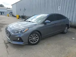 5NPE24AF7KH761026 2019 HYUNDAI SONATA
