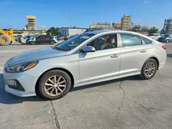 5NPE24AF7KH762600 2019 HYUNDAI SONATA