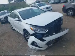 5NPE24AF7KH763097 2019 HYUNDAI SONATA