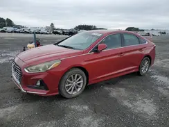 5NPE24AF7KH766629 2019 HYUNDAI SONATA