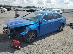 5NPE24AF7KH770566 2019 HYUNDAI SONATA