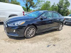 5NPE24AF7KH773547 2019 HYUNDAI SONATA