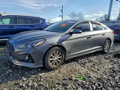 5NPE24AF7KH774973 2019 HYUNDAI SONATA