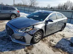 5NPE24AF7KH778635 2019 HYUNDAI SONATA