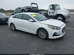 5NPE24AF7KH782510 2019 HYUNDAI SONATA